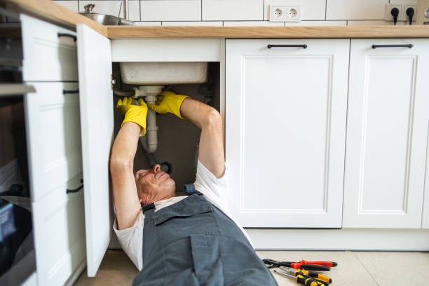 Best Plumbing Inspection Services  in Litchfield, IL